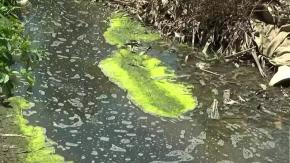 Qué dijo la Seremi tras grave caso de aguas servidas en Horcón