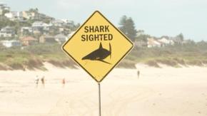 Australia registra el cuarto ataque de tiburón en dos días