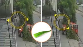 Mujeres sacaron aloe vera de su vecino y recibieron brutal golpiza en Puente Alto: víctima de 78 años terminó con fracturas