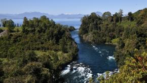 Proyecto de familia Piñera en Lago Ranco espera hace 17 meses autorización arqueológica del Consejo de Monumentos