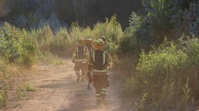 Durante toque de queda: Detienen a sujeto por su eventual participación en incendio en Punta de Parra