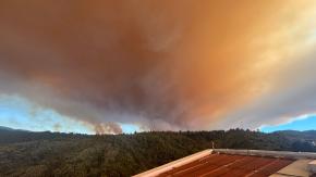 EN TIEMPO REAL: Revisa TODOS los incendios forestales activos en Chile 