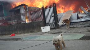 Subsecretario del Interior: "Aún hay siete focos que siguen activos, llevamos cerca de 30 horas de combate"