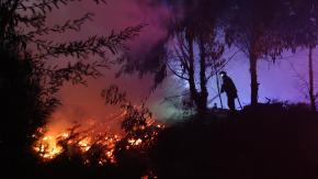 Nuevo balance por incendios forestales: víctimas fatales suben a 21 en el centro-sur del país