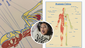 Dibujante se viraliza al renombrar partes del cuerpo con modismos chilenos: "Y pensar que aún la RAE no reconoce nuestro dialecto"