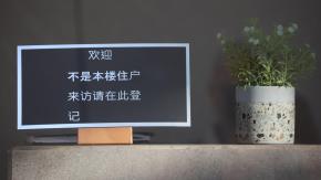 "La matanza de los cerdos": Así operaba la mafia china que estafó a estadounidenses en Chile