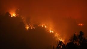 Qué se sabe de los incendios en Biobío y Ñuble que ya dejan al menos 16 fallecidos