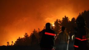 Empresas forestales paralizan faenas en Ñuble y Biobío y destinan recursos a combatir incendios