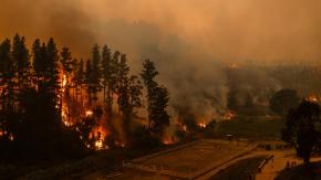 Gobierno aumenta a 19 fallecidos y 325 casas destruidas por incendios forestales en Ñuble y Biobío