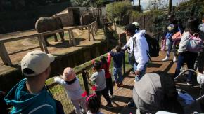 Zoológico Metropolitano celebra 100 años con entradas gratuitas: Revisa cómo conseguirlas AQUÍ