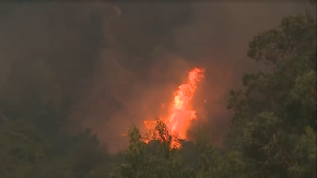Arriesga 20 años de cárcel: Acusado de provocar incendio forestal era un bombero y brigadista de Conaf