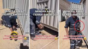 Lamentable maltrato animal en Atacama: captan a hombre ahogando cachorros en balde de agua en una minera 
