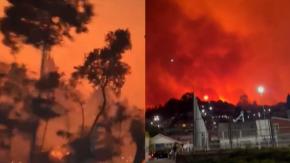 Incendio forestal en Penco obliga evacuaciones masivas y amenaza a más de 3 mil viviendas