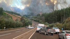 VIDEO | Columnas de humo y cielo totalmente rojizo: Registros evidencian la magnitud de incendios forestales en el Biobío y Ñuble