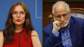 Vallejo ante ausencia de Montes en trabajo en terreno por incendios: "Tenemos instituciones ministeriales"