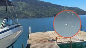"Una mujer de espalda, entregada, con la guagua levantada...": Dramático rescate de familia que se ahogaba en el Lago Ranco