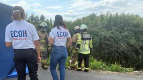 Encuentran cadáver dentro de una maleta en Ruta 78