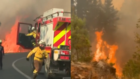 Incendio avanza hacia viviendas en Florida, región del BioBío: bomberos realiza evacuación urgente