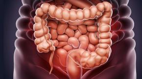 Conexión intestino-cerebro: cuando la digestión también influye en la mente