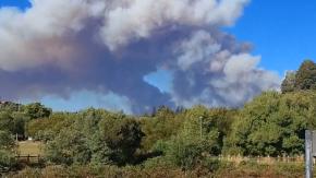 Gigantesco incendio forestal en Concepción obliga a declarar Alerta Roja comunal: Se activó mensajería SAE