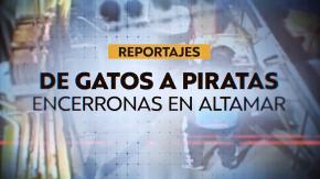 Reportajes T13 | Encerronas en altamar: denuncian presencia de piratas en región del BioBío