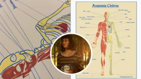 Dibujante se viraliza al renombrar partes del cuerpo con modismos chilenos: "Y pensar que aún la RAE no reconoce nuestro dialecto"