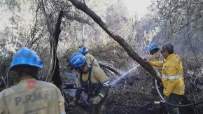 Bomberos y voluntarios contra el fuego