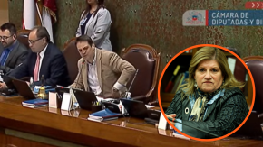 "Cállate, vieja ridícula": El tenso cruce entre Gaspar Rivas y Gloria Naveillán en la Cámara de Diputados