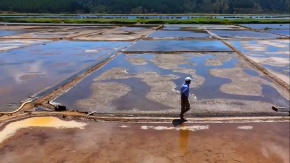 Agua dulce la está matando: peligra la sal de Cáhuil