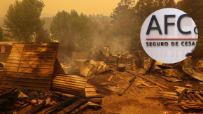 Seguro de Cesantía aumenta beneficios y disminuye requisitos en Ñuble y Biobío tras incendios