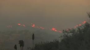 Incendio obligó a evacuar sectores de Concón y Limache