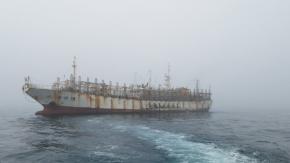 Flotas chinas en el Pacífico Sur: Operación sobre límite de las 200 millas reabre debate por la jibia y la regulación chilena