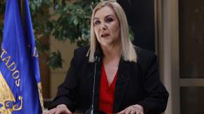 Pamela Jiles propone retiro para afectados por incendios: "Es una posibilidad que el gobierno entrante debiera estudiar"