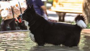 Emiten aviso por altas temperaturas: Se esperan hasta 36°C en la zona central