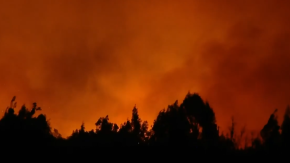 Alerta Roja para Concón y Limache: Incendio arrasa 140 hectáreas y obliga a evacuar al menos 50 personas