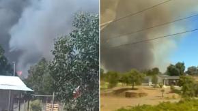 Emiten alerta de evacuación en sectores de San Nicolás, región de Ñuble, por incendio forestal