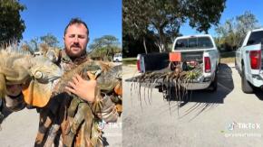 Histórica ola de frío en el sur de Estados Unidos: Iguanas se congelaron y cayeron de los árboles