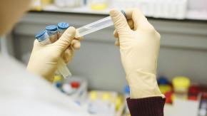 Claves que debemos conocer sobre el peligroso virus Nipah