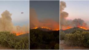 Incendio forestal en Limache y Concón sigue sin ser controlado: Superficie afectada aumentó a 250 hectáreas