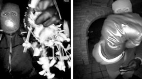 FBI publica imágenes vinculadas a desaparición de la madre de presentadora de TV de EEUU