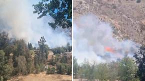 Declaran alerta roja en Pirque por incendio forestal: hay al menos siete hectáreas consumidas