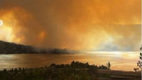 Senapred declara alerta roja por incendio forestal en Vichuquén: Activaron Alerta SAE