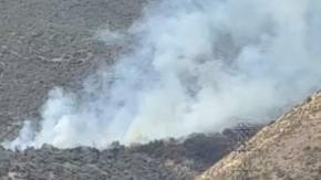 Incendio forestal se registra en la Quebrada de Macul: Tres helicópteros combaten las llamas