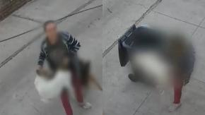 Denuncian a mujer por maltrato animal tras arrojar perro al basurero: vecina acusa que a ella la golpeó "a botellazos"