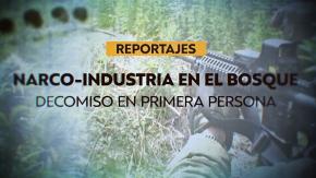 Reportajes T13: Narco-industria en el bosque, decomiso en primera persona