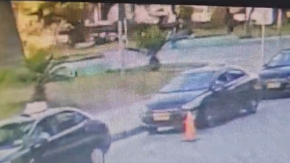 VIDEO | Registro muestra momento exacto en que árbol cae y provoca muerte de persona en Valparaíso