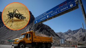 Confirman cierre temporal del paso Cristo Redentor por hallazgo de mosquito del dengue 