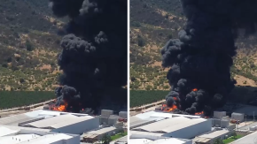 Reportan gran incendio en planta agrícola de Las Cabras