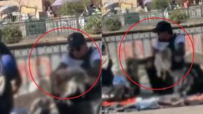 "Es horroroso": Alertan por venta de supuesta piel de gato en plena calle en Santiago