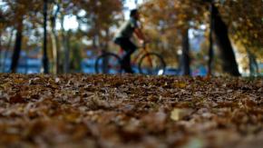 Se acerca el cambio de estación: ¿Cuándo inicia oficialmente el otoño en Chile?
